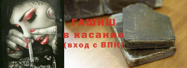 прущие крисы Бородино