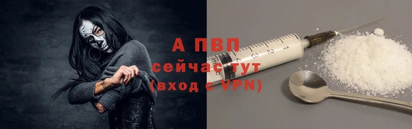 спиды Богданович