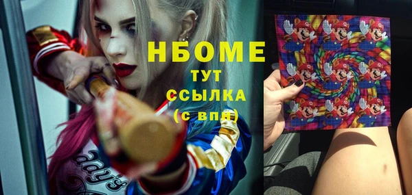 прущие крисы Бородино