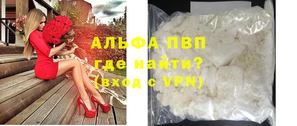 прущие крисы Бородино