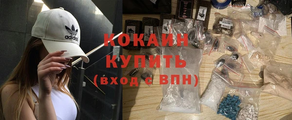 прущие крисы Бородино